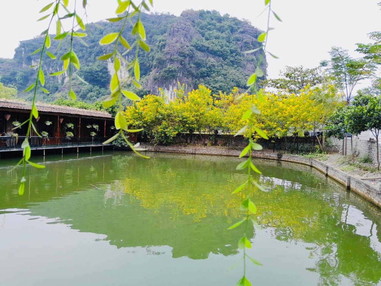 Tam Coc Garden Homestay Ninh Binh Exteriér fotografie