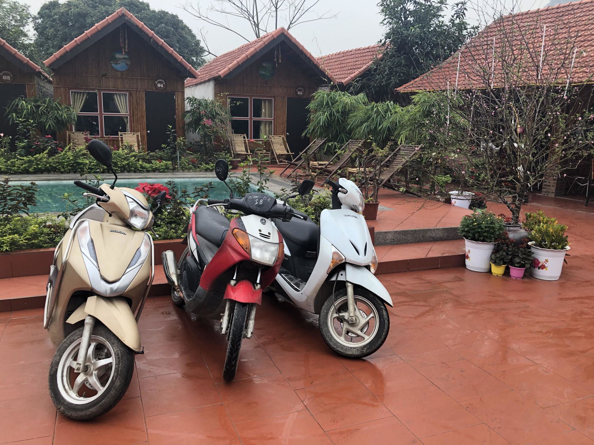 Tam Coc Garden Homestay Ninh Binh Exteriér fotografie