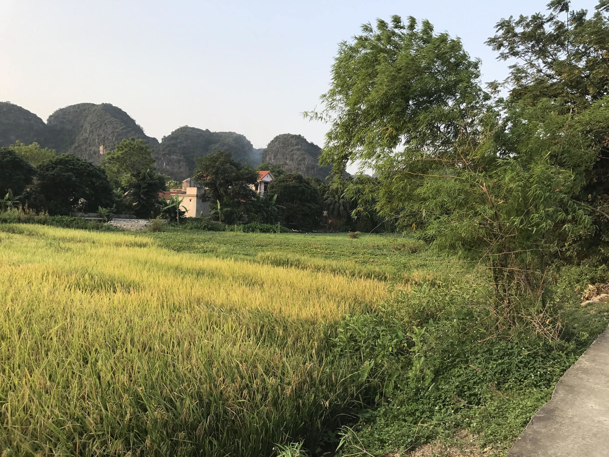 Tam Coc Garden Homestay Ninh Binh Exteriér fotografie