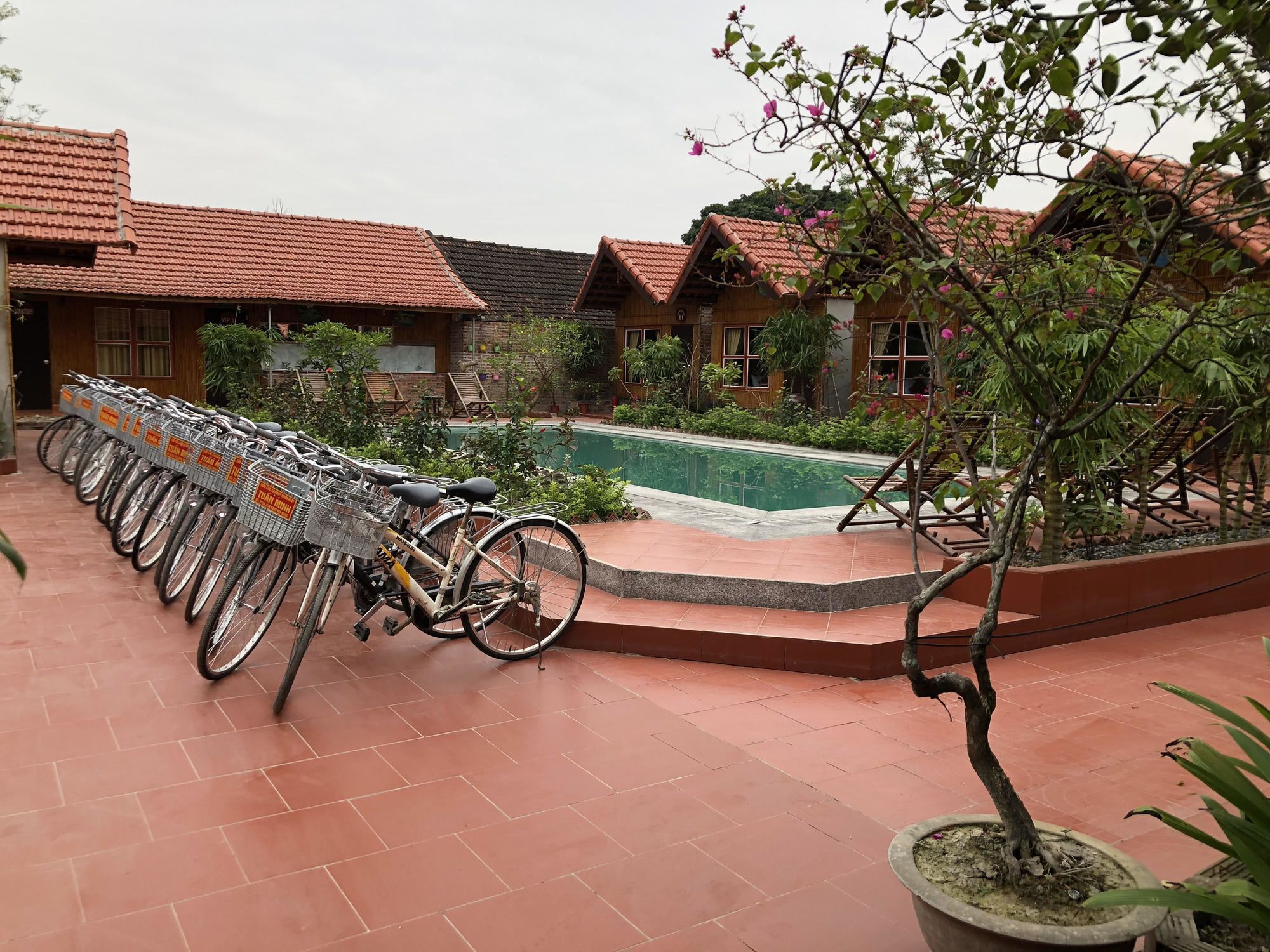 Tam Coc Garden Homestay Ninh Binh Exteriér fotografie