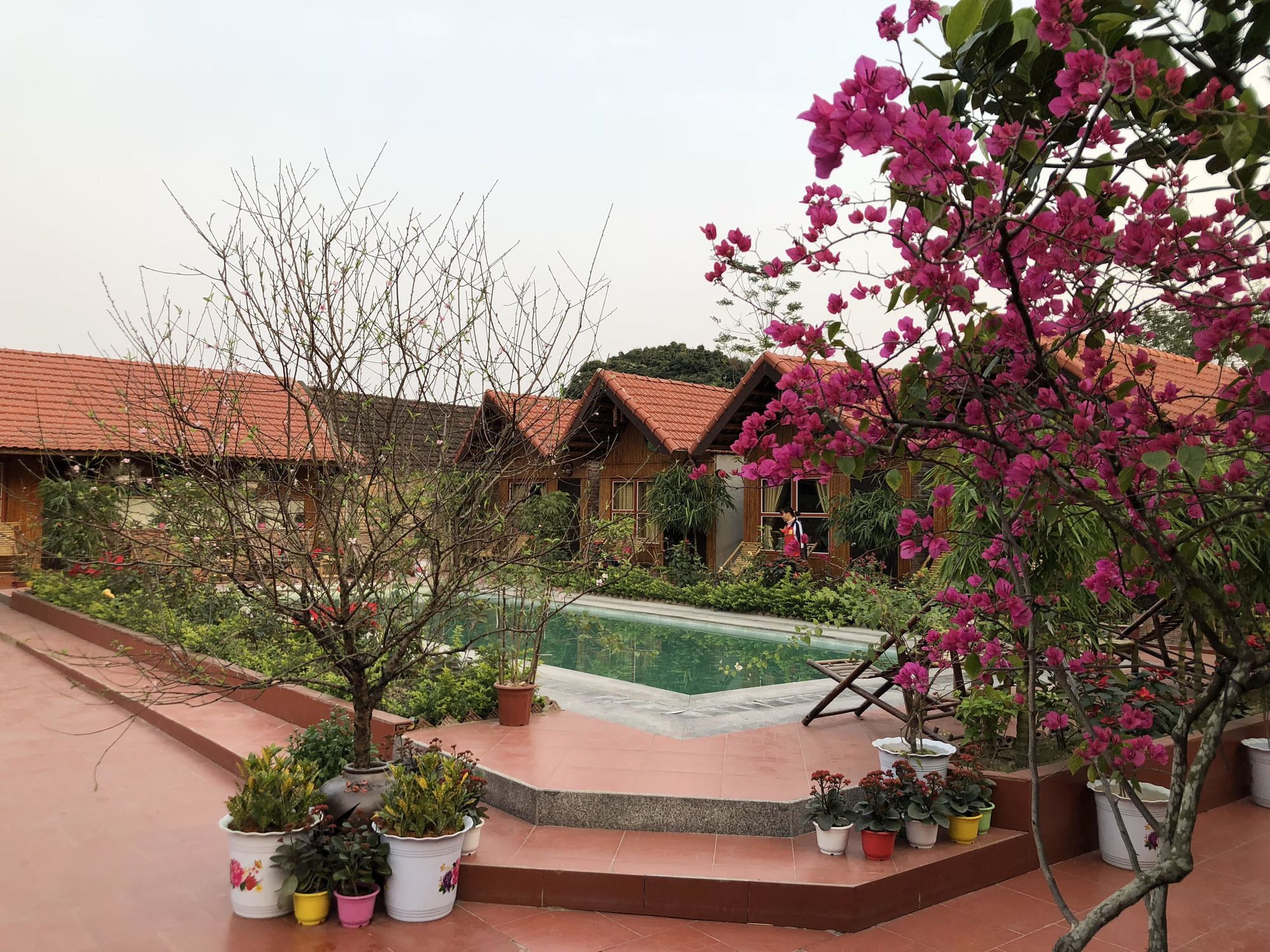 Tam Coc Garden Homestay Ninh Binh Exteriér fotografie
